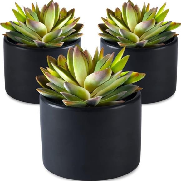 Fake Plants Artificial Succulents in Pots - 3 Pack Faux Potted Plant Décor,Small - Picture 1 of 6